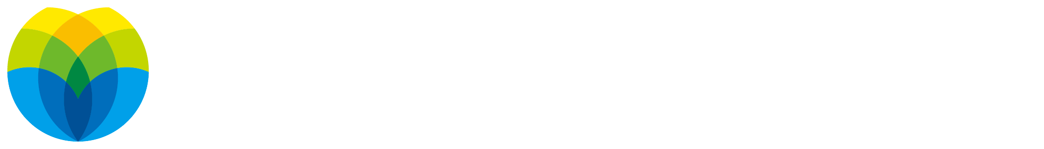 History_About us_ ENN
